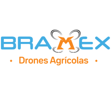 Bramex